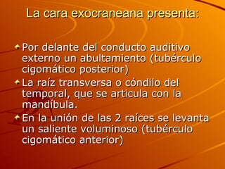 La cara exocraneana presenta: Por delante del conducto auditivo externo un abultamiento (tubérculo cigomático posterior) La raíz transversa o cóndilo del temporal, que se articula con la mandíbula. En la unión de las 2 raíces se levanta un saliente voluminoso (tubérculo cigomático anterior) 