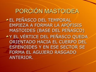PORCIÓN MASTOIDEA  EL PEÑASCO DEL TEMPORAL EMPIEZA A FORMAR LA APÓFISIS MASTOIDES (BASE DEL PEÑASCO) Y EL VÉRTICE DEL PEÑASCO QUEDA ORIENTADO HACIA EL CUERPO DEL ESFENOIDES Y EN ESE SECTOR SE FORMA EL AGUJERO RASGADO ANTERIOR. 