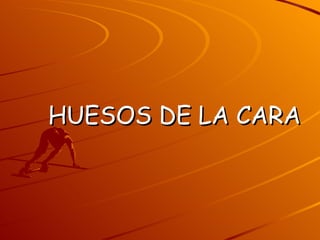 HUESOS DE LA CARA 