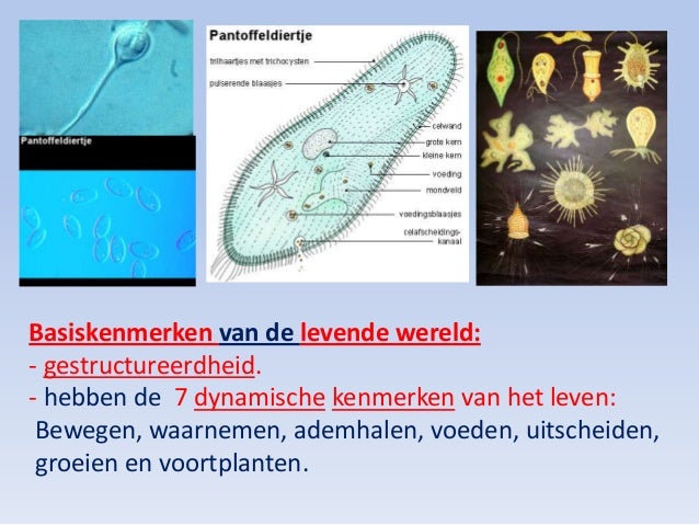 2. over leven en het ontstaan van leven definitief