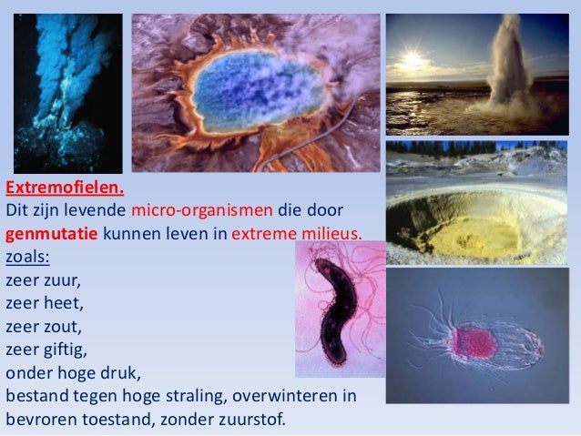 2. over leven en het ontstaan van leven definitief