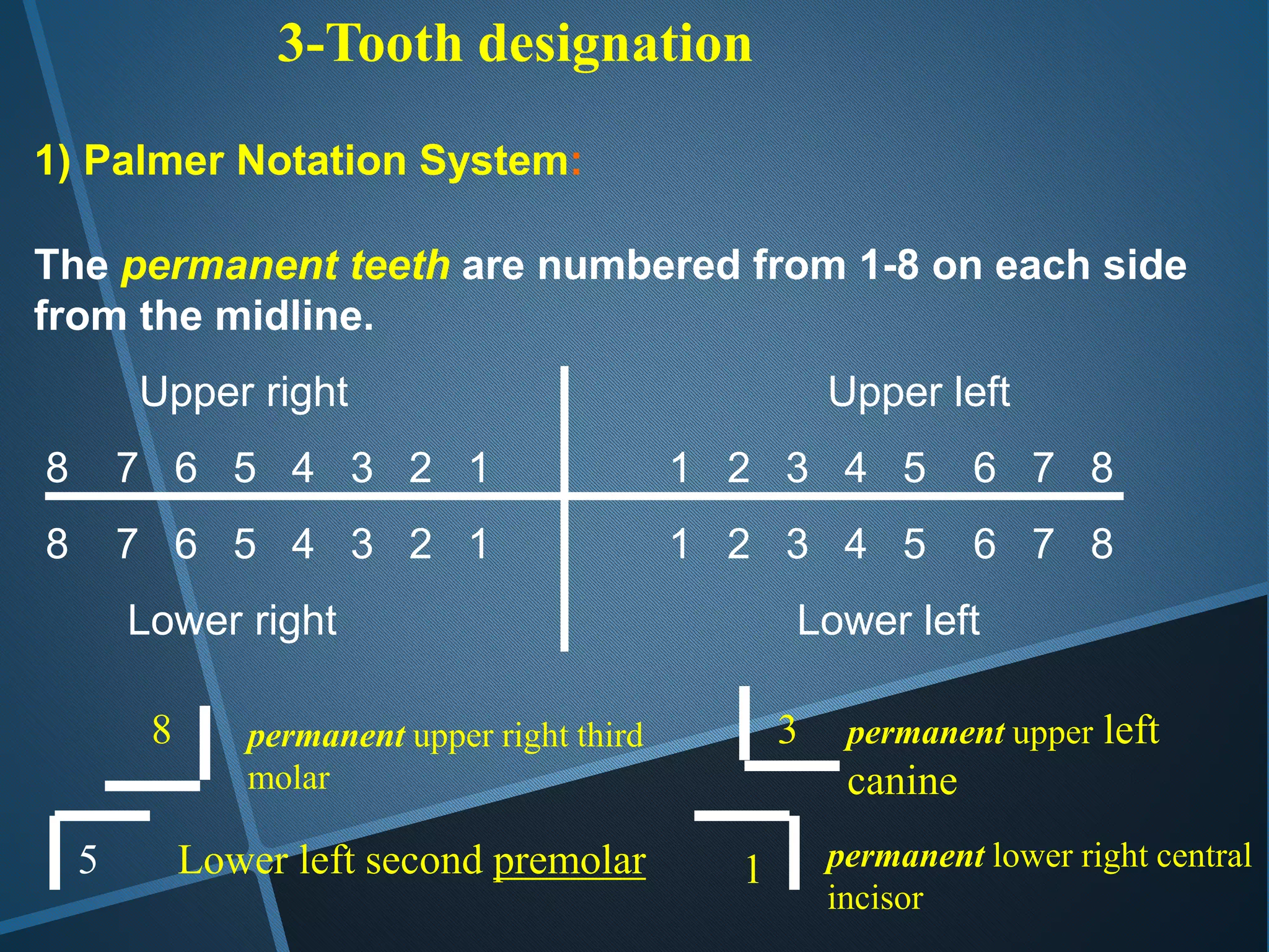 3-Tooth designation
1) Palmer Notation System:
The permanent teeth are numbered from 1-8 on each side
from the midline.
Upper right Upper left
8 7 6 5 4 3 2 1 1 2 3 4 5 6 7 8
8 7 6 5 4 3 2 1 1 2 3 4 5 6 7 8
Lower right Lower left
8 permanent upper right third
molar
5 Lower left second premolar
3 permanent upper left
canine
1 permanent lower right central
incisor
 