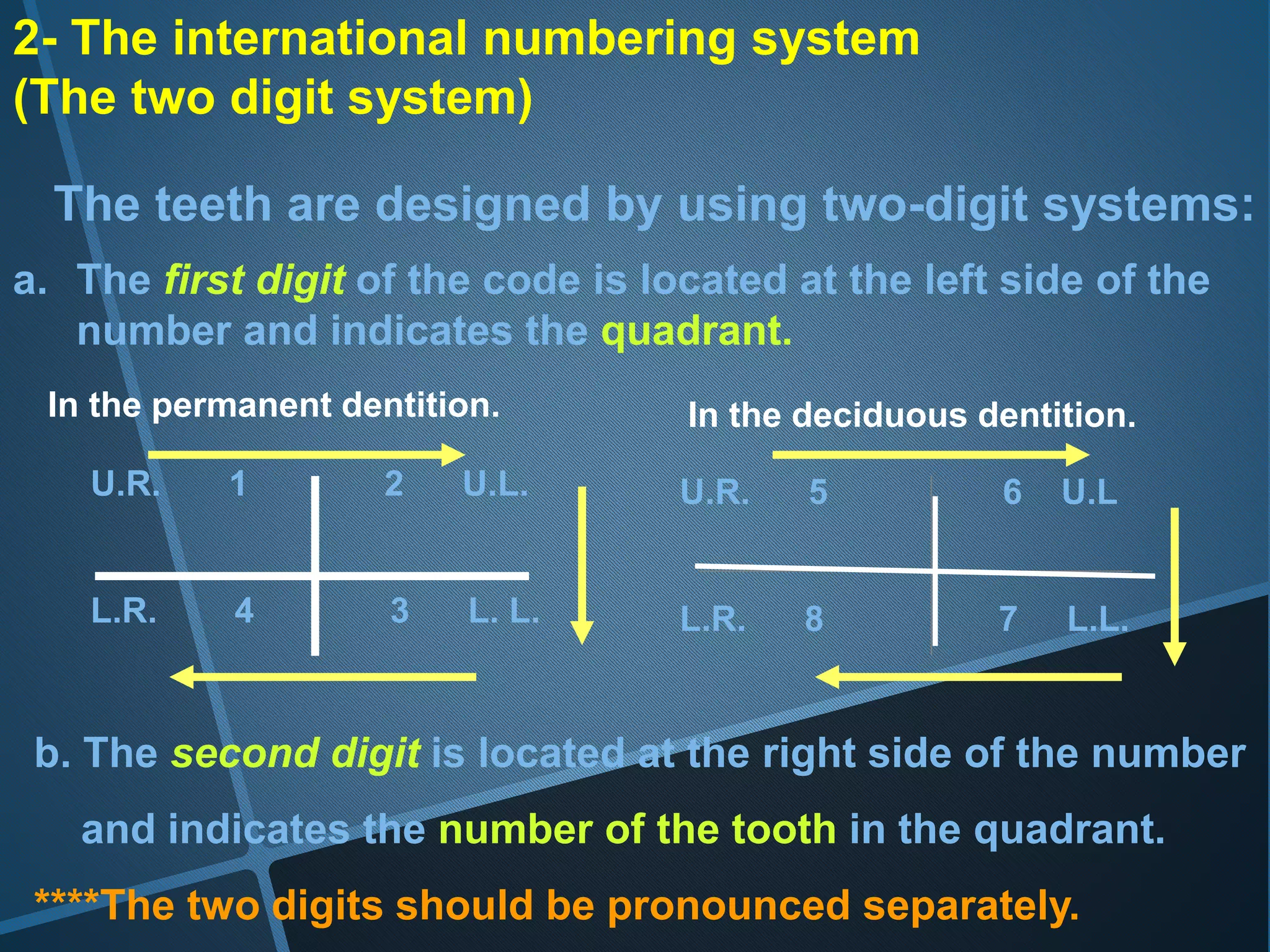 2- The international numbering system
(The two digit system)
The teeth are designed by using two-digit systems:
a. The first digit of the code is located at the left side of the
number and indicates the quadrant.
U.R. 1 2 U.L.
L.R. 4 3 L. L.
b. The second digit is located at the right side of the number
and indicates the number of the tooth in the quadrant.
****The two digits should be pronounced separately.
In the permanent dentition. In the deciduous dentition.
U.R. 5 6 U.L
L.R. 8 7 L.L.
 