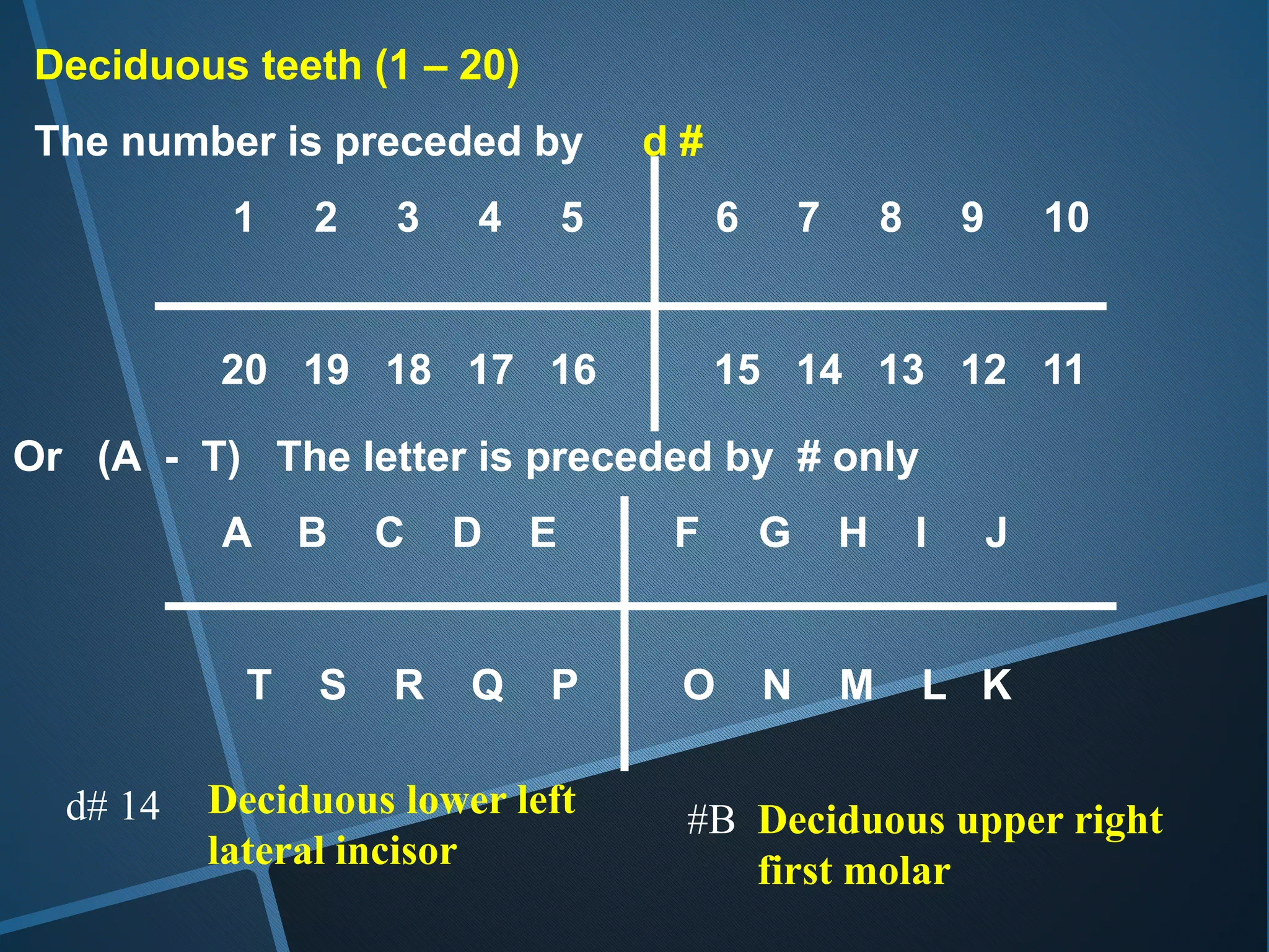 Deciduous teeth (1 – 20)
The number is preceded by d #
1 2 3 4 5 6 7 8 9 10
20 19 18 17 16 15 14 13 12 11
Or (A - T) The letter is preceded by # only
A B C D E F G H I J
T S R Q P O N M L K
d# 14 Deciduous lower left
lateral incisor
#B Deciduous upper right
first molar
 