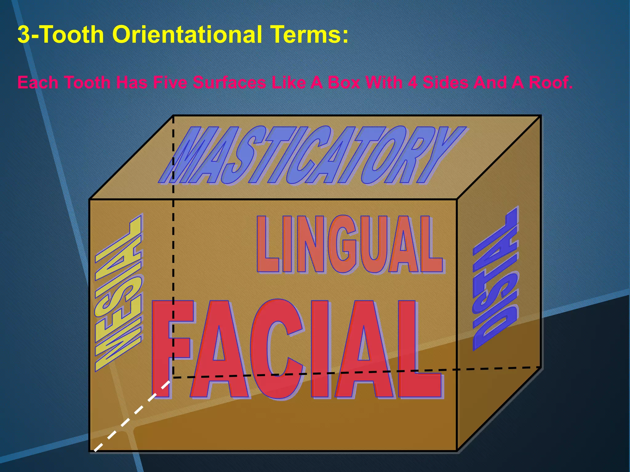 3-Tooth Orientational Terms:
Each Tooth Has Five Surfaces Like A Box With 4 Sides And A Roof.
 