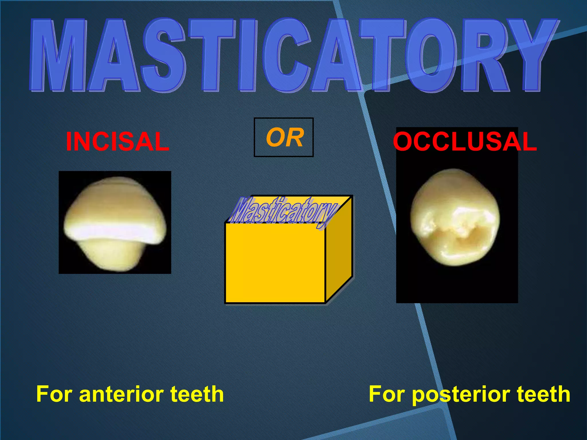 For anterior teeth For posterior teeth
INCISAL OCCLUSALOR
 