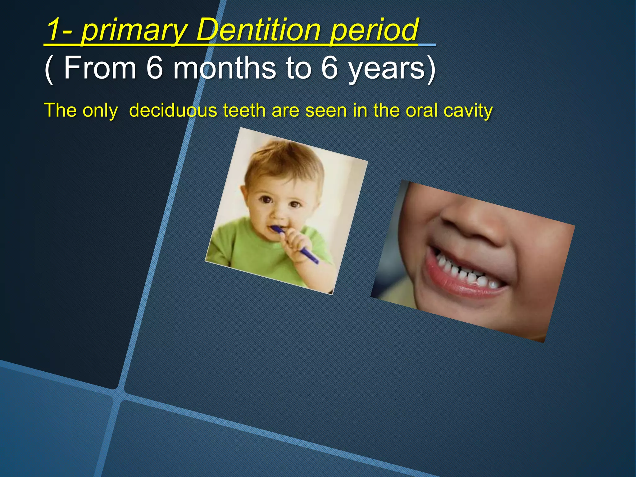 1- primary Dentition period
( From 6 months to 6 years)
The only deciduous teeth are seen in the oral cavity
 