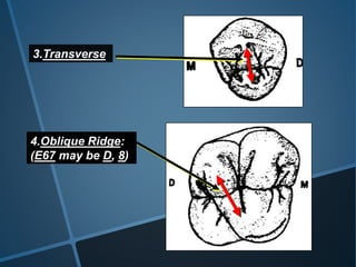 Oblique Ridge Invisalign over view of dentition | PPTX