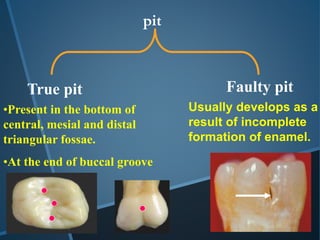 over view of dentition | PPTX