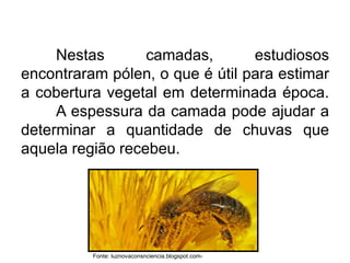 Nestas camadas, estudiosos
encontraram pólen, o que é útil para estimar
a cobertura vegetal em determinada época.
A espessura da camada pode ajudar a
determinar a quantidade de chuvas que
aquela região recebeu.
Fonte: luznovaconsnciencia.blogspot.com-
 