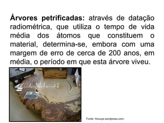 Árvores petrificadas: através de datação
radiométrica, que utiliza o tempo de vida
média dos átomos que constituem o
material, determina-se, embora com uma
margem de erro de cerca de 200 anos, em
média, o período em que esta árvore viveu.
Fonte: hinouye.wordpress.com-
 