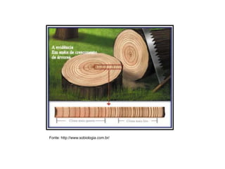 Fonte: http://www.sobiologia.com.br/
 