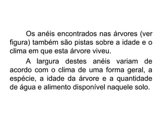 Os anéis encontrados nas árvores (ver
figura) também são pistas sobre a idade e o
clima em que esta árvore viveu.
A largura destes anéis variam de
acordo com o clima de uma forma geral, a
espécie, a idade da árvore e a quantidade
de água e alimento disponível naquele solo.
 