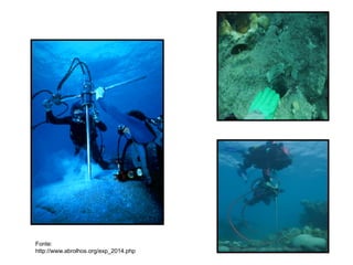 Fonte:
http://www.abrolhos.org/exp_2014.php
 