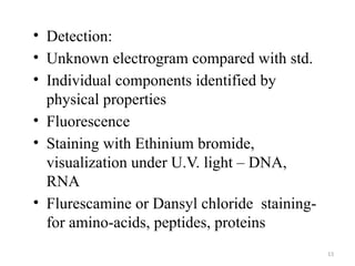 Electrogram Protein 2-Paper-Electrophoresis.fjkfbkvgjfgndfklewnfrpewkfn | PPTX