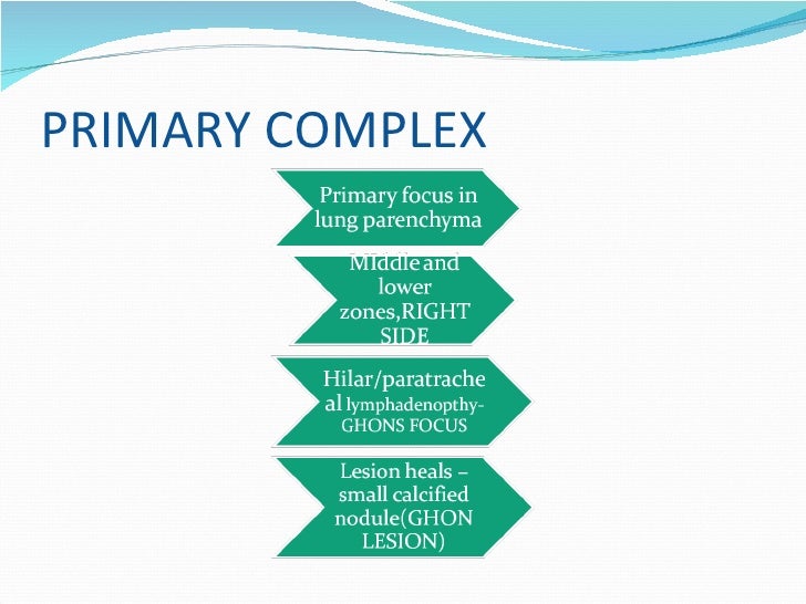2 path and clinical feat