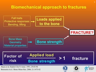 Fragility Fractures - Pathogenesis-Biomechanical View | PPT