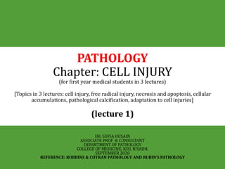 PATHOLOGY
Chapter: CELL INJURY
(for first year medical students in 3 lectures)
[Topics in 3 lectures: cell injury, free radical injury, necrosis and apoptosis, cellular
accumulations, pathological calcification, adaptation to cell injuries]
(lecture 1)
DR. SUFIA HUSAIN
ASSOCIATE PROF & CONSULTANT
DEPARTMENT OF PATHOLOGY
COLLEGE OF MEDICINE, KSU, RIYADH.
SEPTEMBER 2020
REFERENCE: ROBBINS & COTRAN PATHOLOGY AND RUBIN’S PATHOLOGY
 