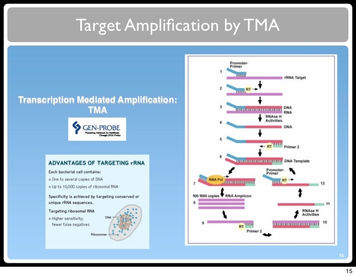 2011 course on Molecular Diagnostic Automation Part 2 Amplificati…