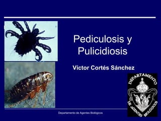 Pediculosis y
            Pulicidiosis
           Víctor Cortés Sánchez




Departamento de Agentes Biológicos
 