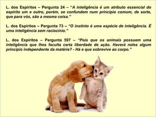 L. dos Espíritos – Pergunta 24 – “A inteligência é um atributo essencial do
espírito um e outro, porém, se confundem num princípio comum, de sorte,
que para vós, são a mesma coisa.”
L. dos Espíritos – Pergunta 73 – “O instinto é uma espécie de inteligência. É
uma inteligência sem raciocínio.”
L. dos Espíritos – Pergunta 597 – “Pois que os animais possuem uma
inteligência que lhes faculta certa liberdade de ação. Haverá neles algum
princípio independente da matéria? - Há e que sobrevive ao corpo.”
 