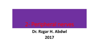 2- Peripheral nerves
Dr. Rzgar H. Abdwl
2017
 