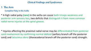 * A high radial palsy (rare) in the axilla can cause both triceps weakness and
posterior arm sensory loss, two deficits that distinguish it from more common
radial nerve injuries at the spiral groove.
* Injuries affecting the proximal radial nerve may be differentiated from posterior
cord involvement by confirming normal deltoid (axillary branch off the posterior
cord) and latissimus dorsi (thoracodorsal branch off the posterior cord) strength.
 