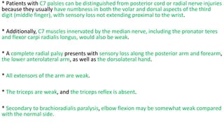 * Patients with C7 palsies can be distinguished from posterior cord or radial nerve injuries
because they usually have numbness in both the volar and dorsal aspects of the third
digit (middle finger), with sensory loss not extending proximal to the wrist.
* Additionally, C7 muscles innervated by the median nerve, including the pronator teres
and flexor carpi radialis longus, would also be weak.
* A complete radial palsy presents with sensory loss along the posterior arm and forearm,
the lower anterolateral arm, as well as the dorsolateral hand.
* All extensors of the arm are weak.
* The triceps are weak, and the triceps reflex is absent.
* Secondary to brachioradialis paralysis, elbow flexion may be somewhat weak compared
with the normal side.
 