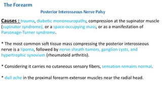 Causes : trauma, diabetic mononeuropathy, compression at the supinator muscle
(supinator syndrome), or a space-occupying mass, or as a manifestation of
Parsonage-Turner syndrome.
* The most common soft tissue mass compressing the posterior interosseous
nerve is a lipoma, followed by nerve sheath tumors, ganglion cysts, and
hypertrophic synovium (rheumatoid arthritis).
* Considering it carries no cutaneous sensory fibers, sensation remains normal.
* dull ache in the proximal forearm extensor muscles near the radial head.
 
