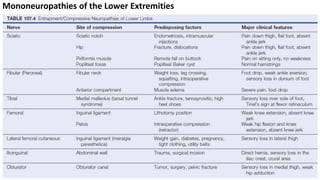 Mononeuropathies of the Lower Extremities
 