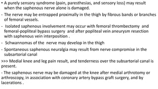 • A purely sensory syndrome (pain, paresthesias, and sensory loss) may result
when the saphenous nerve alone is damaged.
- The nerve may be entrapped proximally in the thigh by fibrous bands or branches
of femoral vessels.
- Isolated saphenous involvement may occur with femoral thrombectomy and
femoral-popliteal bypass surgery and after popliteal vein aneurysm resection
with saphenous vein interposition .
- Schwannomas of the nerve may develop in the thigh
- Spontaneous saphenous neuralgia may result from nerve compromise in the
subsartorial canal
>>> Medial knee and leg pain result, and tenderness over the subsartorial canal is
present.
- The saphenous nerve may be damaged at the knee after medial arthrotomy or
arthroscopy, in association with coronary artery bypass graft surgery, and by
lacerations .
 