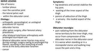 NERVE LESIONS
Site of lesions:
- lumbar plexus
- near the sacroiliac joint
- the lateral pelvic wall
- within the obturator canal.
Etiology :
- orthopedic, gynecological, or urological
procedures or injuries
- obturator hernia
- after pelvic surgery, after femoral artery
procedures
- after bilateral total knee arthroplasty with
prolonged tourniquet use
- Bilateral obturator nerve injuries may occur
during urologic surgery owing to prolonged hip
flexion, resulting in the stretching of each
nerve at the bony obturator foramen
- cancer
Symptoms:
• leg weakness and cannot stabilize the
hip joint.
• wasting of the inner aspect of the
thigh
• paresis of adduction of the thigh
• a sensory : the medial aspect of the
thigh.
Obturator neuralgia:
• pain radiating from the obturator
nerve territory to the inner thigh, may
occur from compression of the
obturator nerve in the obturator canal
• It is worse when standing or in a
monopodal stance and walking may
cause the pain and a limp.
 