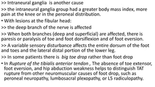 >> Intraneural ganglia is another cause
>> the intraneural ganglia group had a greater body mass index, more
pain at the knee or in the peroneal distribution.
• With lesions at the fibular head:
>> the deep branch of the nerve is affected
>> When both branches (deep and superficial) are affected, there is
paresis or paralysis of toe and foot dorsiflexion and of foot eversion.
>> A variable sensory disturbance affects the entire dorsum of the foot
and toes and the lateral distal portion of the lower leg.
>> In some patients there is big toe drop rather than foot drop
• In Rupture of the tibialis anterior tendon , The absence of toe extensor,
foot eversion, and hip abduction weakness helps to distinguish TAT
rupture from other neuromuscular causes of foot drop, such as
peroneal neuropathy, lumbosacral plexopathy, or L5 radiculopathy.
 
