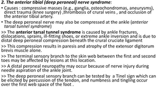 2. The anterior tibial (deep peroneal) nerve syndrome:
• Causes : compressive masses (e.g., ganglia, osteochondromas, aneurysms),
direct trauma (knee surgery) ,thrombosis of crural veins , and occlusion of
the anterior tibial artery.
• The deep peroneal nerve may also be compressed at the ankle (anterior
tarsal tunnel syndrome)
>> The anterior tarsal tunnel syndrome is caused by ankle fractures,
dislocations, sprains, ill-fitting shoes, or extreme ankle inversion and is due to
distal deep peroneal compression beneath the crural cruciate ligament
>> This compression results in paresis and atrophy of the extensor digitorum
brevis muscle alone.
>> The terminal sensory branch to the skin web between the first and second
toes may be affected by lesions at this location.
>> A distal peroneal neuropathy may occur because of nerve injury during
needle aspiration of the ankle joint.
>> The deep peroneal sensory branch can be tested by a Tinel sign which can
be elicited by percussion of the tendon, and numbness and tingling occur
over the first web space of the foot .
 