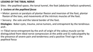 LESIONS OF THE TIBIAL NERVE
Sites : the popliteal space, the tarsal tunnel, the foot (abductor hallucis syndrome).
1- Lesions at the popliteal fossa:
• Motor: paresis or paralysis of plantar flexion and inversion of the foot, plantar
flexion of the toes, and movements of the intrinsic muscles of the foot.
• Sensory: the sole and the lateral border of the foot.
Etiologies: Baker cysts, trauma ,nerve tumors, and entrapment by the tendinous
arch .
>> Tibial nerve entrapment by the arch of origin of the soleus muscle can be
distinguished from tibial nerve compression at the ankle and S1 radiculopathy by
the presence of severe pain and tenderness and a positive Tinel sign in the
popliteal fossa
 