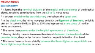 MEDIAN NERVE
Basic Anatomy
* It forms from the terminal divisions of the medial and lateral cords of the brachial
plexus, receiving contributions from the C5 to T1 nerve roots
* It courses medial to the brachial artery throughout the upper arm.
* In the distal arm, the nerve may pass beneath the ligament of Struthers, which is
present in some individuals (1% to 13%) and represents a rare cause of median
nerve entrapment.
* The nerve then passes under the bicipital aponeurosis at the elbow.
* Moving distally, the median nerve then travels between the two heads of the
pronator teres, deep to the humeral head and superficial to the ulnar head.
* The nerve then continues distally between the flexor digitorum superficialis and
flexor digitorum profundus muscles.
 
