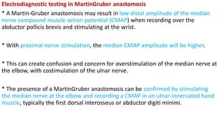 Electrodiagnostic testing in MartinGruber anastomosis
* A Martin-Gruber anastomosis may result in low distal amplitude of the median
nerve compound muscle action potential (CMAP) when recording over the
abductor pollicis brevis and stimulating at the wrist.
* With proximal nerve stimulation, the median CMAP amplitude will be higher.
* This can create confusion and concern for overstimulation of the median nerve at
the elbow, with costimulation of the ulnar nerve.
* The presence of a MartinGruber anastomosis can be confirmed by stimulating
the median nerve at the elbow and recording a CMAP in an ulnar-innervated hand
muscle, typically the first dorsal interosseus or abductor digiti minimi.
 