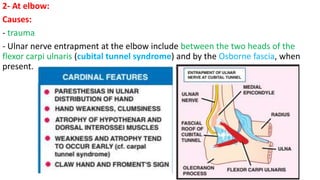 2- At elbow:
Causes:
- trauma
- Ulnar nerve entrapment at the elbow include between the two heads of the
flexor carpi ulnaris (cubital tunnel syndrome) and by the Osborne fascia, when
present.
 