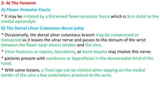 3- At The Forearm
A) Flexor–Pronator Fascia
* It may be irritated by a thickened flexor–pronator fascia which is 5cm distal to the
medial epicondyle
B) The Dorsal Ulnar Cutaneous Nerve palsy
* Occasionally, the dorsal ulnar cutaneous branch may be compressed or
transected as it leaves the ulnar nerve and passes to the dorsum of the wrist
between the flexor carpi ulnaris tendon and the ulna.
* Ulnar fractures or repairs, lacerations, or blunt trauma may involve this nerve.
* patients present with numbness or hypesthesia in the dorsomedial third of the
hand.
* With some lesions, a Tinel sign can be elicited when tapping on the medial
border of the ulna a few centimeters proximal to the wrist.
 