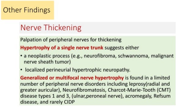 2 peripheral nerves