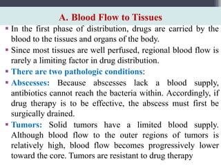 A. Blood Flow to Tissues
 In the first phase of distribution, drugs are carried by the
blood to the tissues and organs of the body.
 Since most tissues are well perfused, regional blood flow is
rarely a limiting factor in drug distribution.
 There are two pathologic conditions:
 Abscesses: Because abscesses lack a blood supply,
antibiotics cannot reach the bacteria within. Accordingly, if
drug therapy is to be effective, the abscess must first be
surgically drained.
 Tumors: Solid tumors have a limited blood supply.
Although blood flow to the outer regions of tumors is
relatively high, blood flow becomes progressively lower
toward the core. Tumors are resistant to drug therapy
 