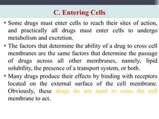 C. Entering Cells
 Some drugs must enter cells to reach their sites of action,
and practically all drugs must enter cells to undergo
metabolism and excretion.
 The factors that determine the ability of a drug to cross cell
membranes are the same factors that determine the passage
of drugs across all other membranes, namely, lipid
solubility, the presence of a transport system, or both.
 Many drugs produce their effects by binding with receptors
located on the external surface of the cell membrane.
Obviously, these drugs do not need to cross the cell
membrane to act.
 