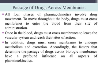 Passage of Drugs Across Membranes
 All four phases of pharmacokinetics involve drug
movement. To move throughout the body, drugs must cross
membranes to enter the blood from their site of
administration.
 Once in the blood, drugs must cross membranes to leave the
vascular system and reach their sites of action.
 In addition, drugs must cross membranes to undergo
metabolism and excretion. Accordingly, the factors that
determine the passage of drugs across biologic membranes
have a profound influence on all aspects of
pharmacokinetics.
 