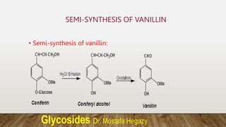 Glycosides Dr. Mostafa Hegazy
SEMI-SYNTHESIS OF VANILLIN
• Semi-synthesis of vanillin:
 
