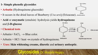 Glycosides Dr. Mostafa Hegazy
1- Simple phenolic glycosides
• Arbutin (Hydroquinone glucoside)
• It occurs in the dried leaves of Bearberry (Uva ursi) (Ericaceae).
• Acid or enzymatic (emulsin) hydrolysis yields hydroquinone
and β-D-glucose
• Chemical tests
• Arbutin+ FeCl3  Blue color.
• Arbutin + HCl / heat  crystals of hydroquinone.
• Uses: Skin whitening creams, diuretic and urinary antiseptic.
 