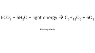 6CO2 + 6H2O + light energy  C6H12O6 + 6O2
Photosynthesis
 