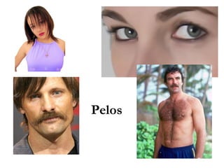 Pelos

 