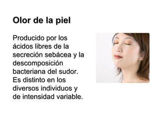 Olor de la piel
Producido por los
ácidos libres de la
secreción sebácea y la
descomposición
bacteriana del sudor.
Es distinto en los
diversos individuos y
de intensidad variable.

 