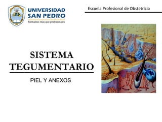 Escuela Profesional de Obstetricia

SISTEMA
TEGUMENTARIO
PIEL Y ANEXOS

 
