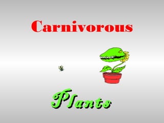 Carnivorous



  Plants
 